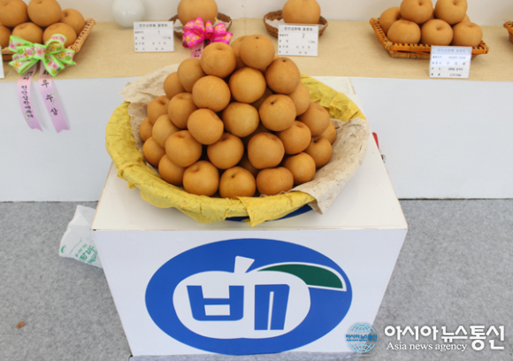 성환통신 이미지