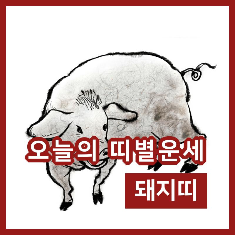 아시아뉴스통신_[오늘의 운세] 26일 돼지띠 일별운세와 행운의 숫자는?_윤창용 기자_2019-02-26 07:30