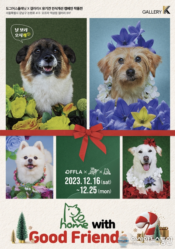 갤러리K X 도그어스플래닛, ‘리홈(Rehome) with Good Friends’전시회 진행…유기동물의 새로운 가족 찾도록 도와