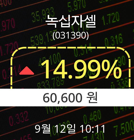 ▲9월 12일 녹십자셀 의 주가정보