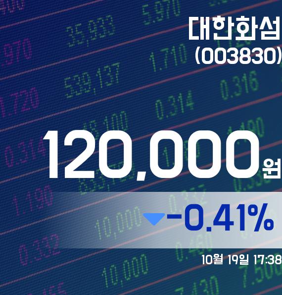 ▲10월 19일 대한화섬 의 주가정보