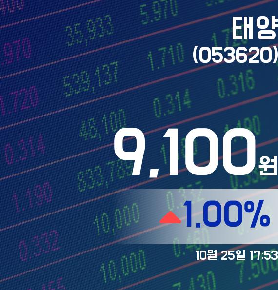 ▲10월 25일 태양 의 주가정보