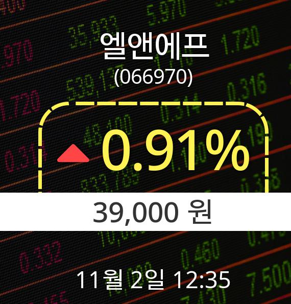 ▲11월 2일 엘앤에프 의 주가정보