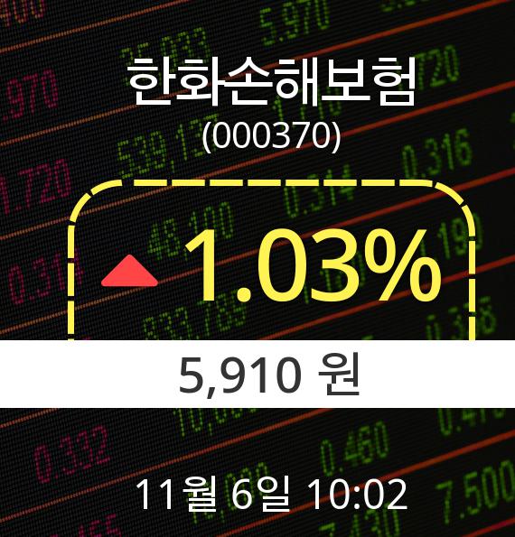 ▲11월 6일 한화손해보험 의 주가정보