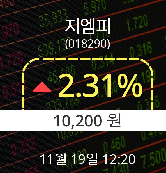 ▲11월 19일 지엠피 의 주가정보