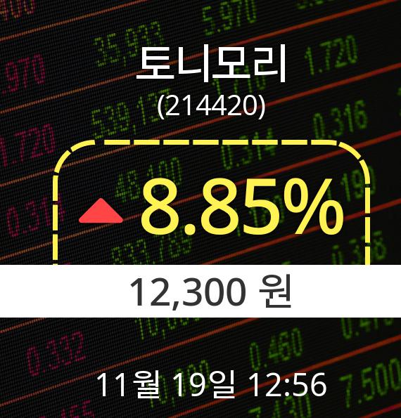 ▲11월 19일 토니모리 의 주가정보