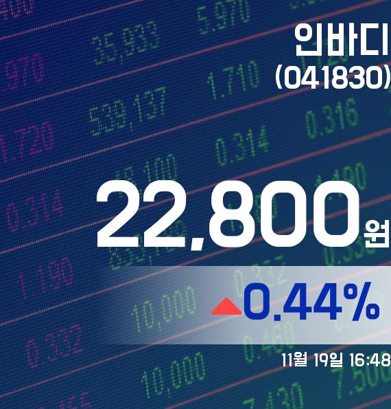 ▲11월 19일 인바디 의 주가정보