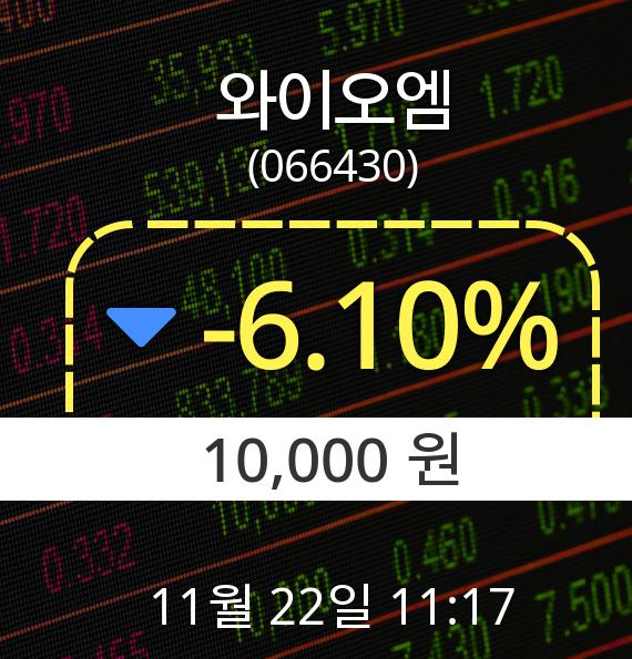 ▲11월 22일 와이오엠 의 주가정보
