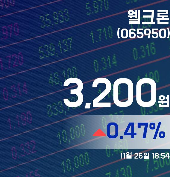 ▲11월 26일 웰크론 의 주가정보
