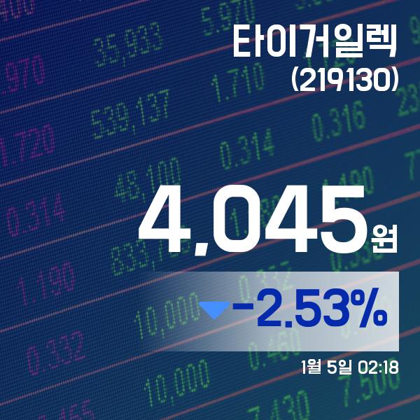 ▲1월 5일 타이거일렉 의 주가정보