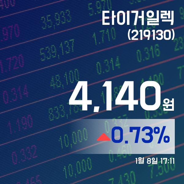 ▲1월 8일 타이거일렉 의 주가정보