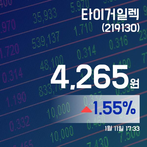 ▲1월 11일 타이거일렉 의 주가정보