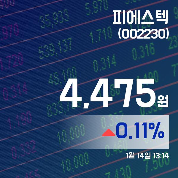 ▲1월 14일 피에스텍 의 주가정보