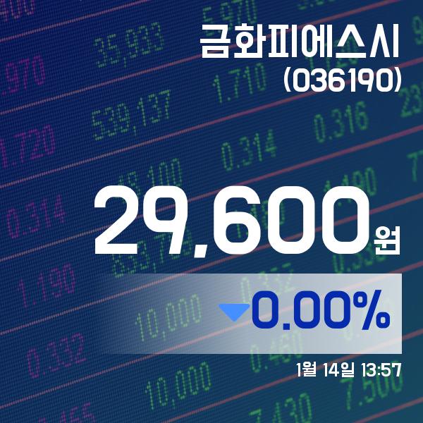 ▲1월 14일 금화피에스시 의 주가정보