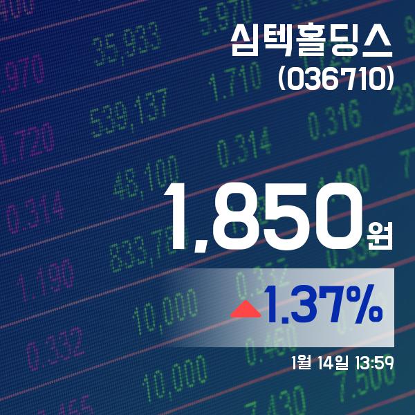 ▲1월 14일 심텍홀딩스 의 주가정보