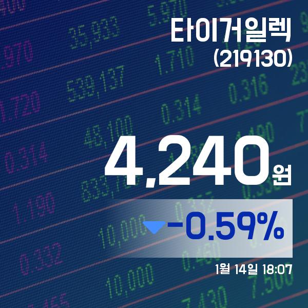 ▲1월 14일 타이거일렉 의 주가정보