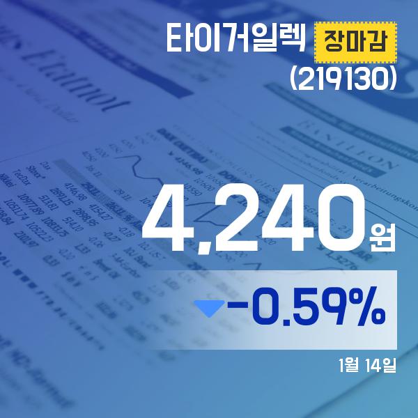 ▲1월 14일 타이거일렉 의 주가정보