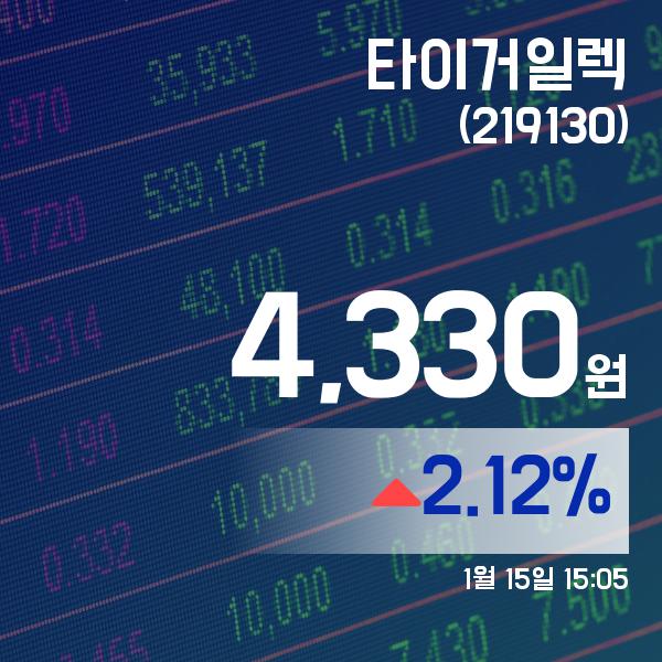 ▲1월 15일 타이거일렉 의 주가정보