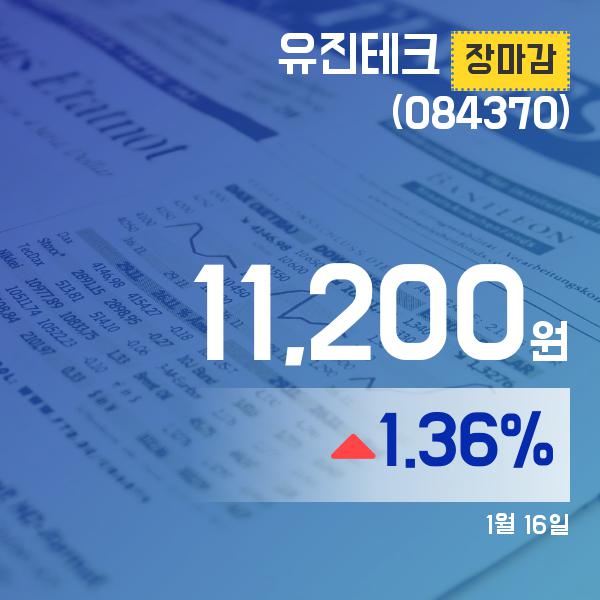 ▲1월 16일 유진테크 의 주가정보