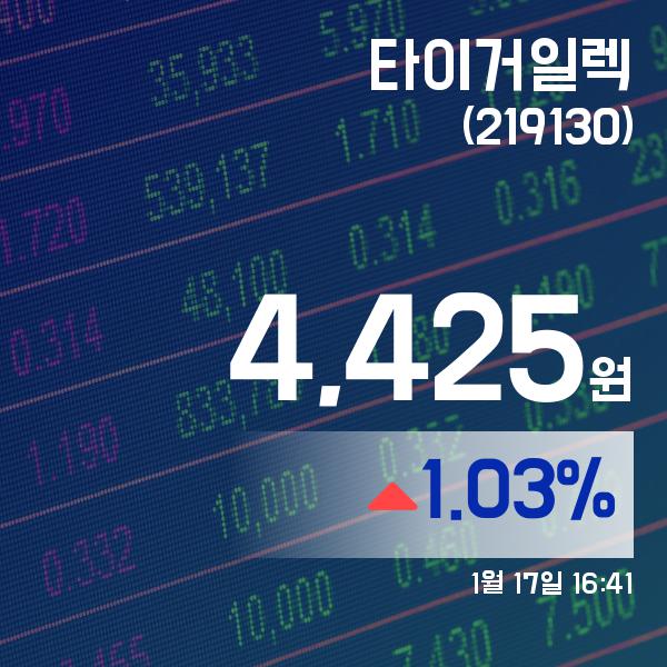 ▲1월 17일 타이거일렉 의 주가정보