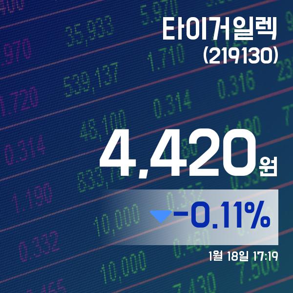 ▲1월 18일 타이거일렉 의 주가정보