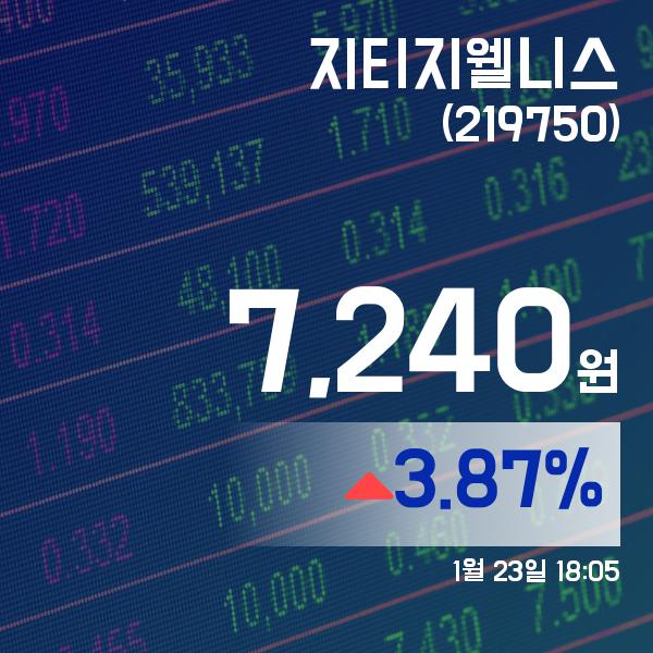 ▲1월 23일 지티지웰니스 의 주가정보