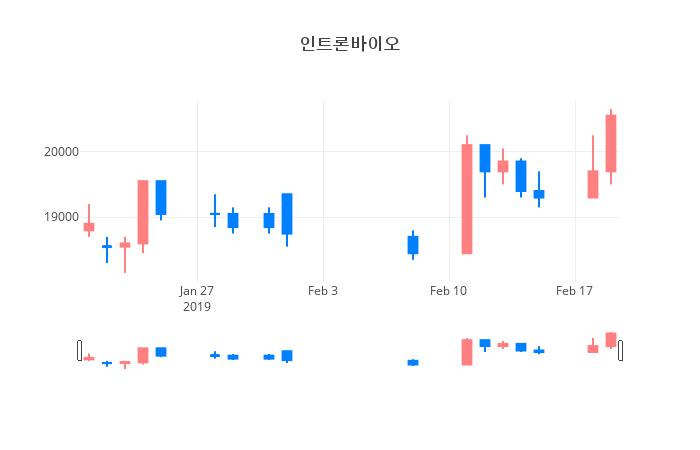 ▲일주일간 인트론바이오 등락률 변화