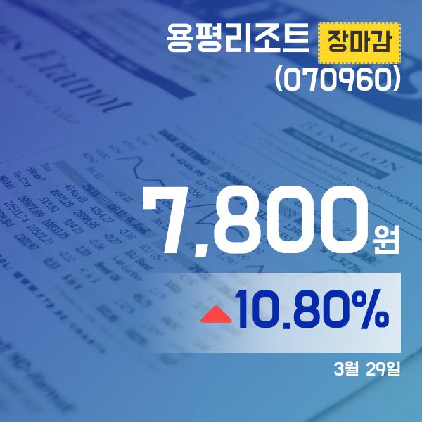 ▲3월 29일 용평리조트 의 주가정보